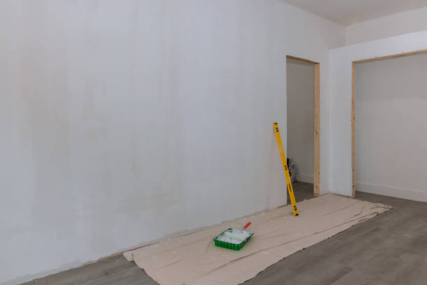 Best Drywall Installation  in Wildwood, FL